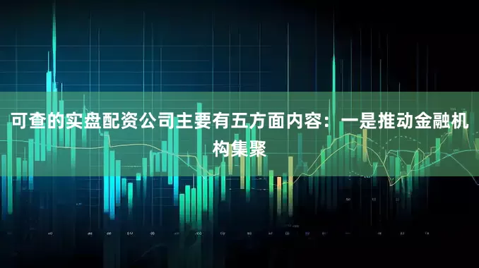 可查的实盘配资公司主要有五方面内容：一是推动金融机构集聚