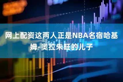 网上配资这两人正是NBA名宿哈基姆-奥拉朱旺的儿子