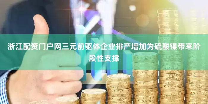 浙江配资门户网三元前驱体企业排产增加为硫酸镍带来阶段性支撑